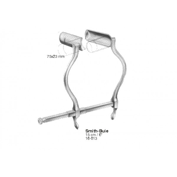 Intestines, Stomach, Rectum